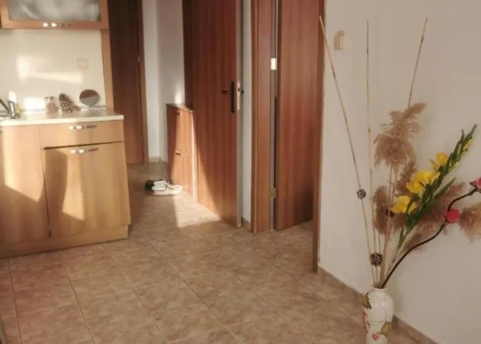 Blue Komfort Apartment Slantschew brjag